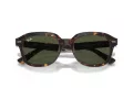 Ray-Ban Erik Zonnebril RB 0RB4398 902/31