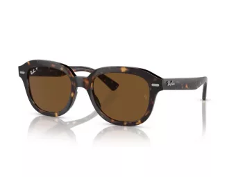 Ray-Ban Erik Zonnebril RB 4398 902/57