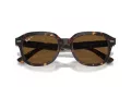Ray-Ban Erik Zonnebril RB 4398 902/57