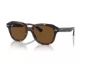 Ray-Ban Erik Zonnebril RB 4398 902/57