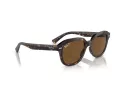 Ray-Ban Erik Zonnebril RB 4398 902/57