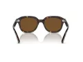 Ray-Ban Erik Zonnebril RB 4398 902/57