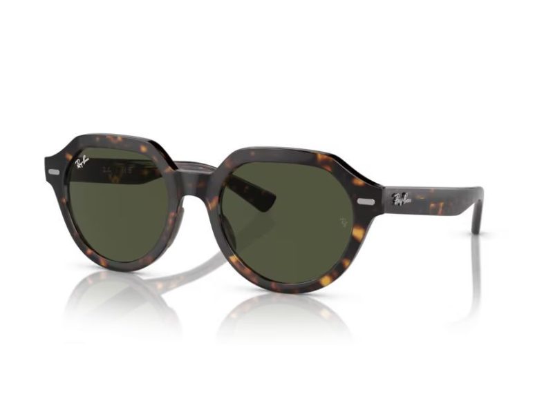 Ray-Ban Gina Zonnebril RB 0RB4399 902/31