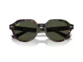 Ray-Ban Gina Zonnebril RB 0RB4399 902/31