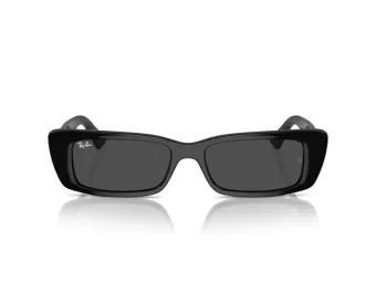 Ray-Ban Teru Zonnebril RB 4425 667787