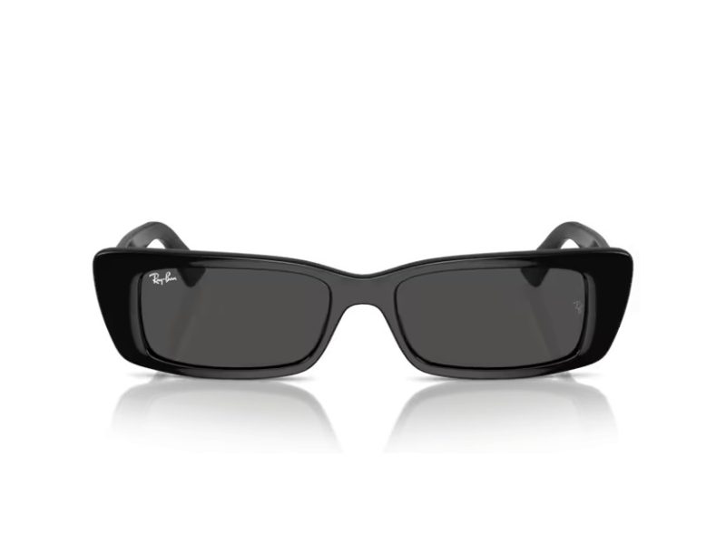 Ray-Ban Teru Zonnebril RB 4425 667787