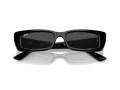 Ray-Ban Teru Zonnebril RB 4425 667787
