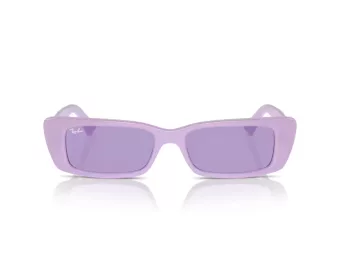 Ray-Ban Teru Zonnebril RB 4425 67581A