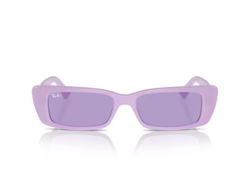 Ray-Ban Teru Zonnebril RB 4425 67581A