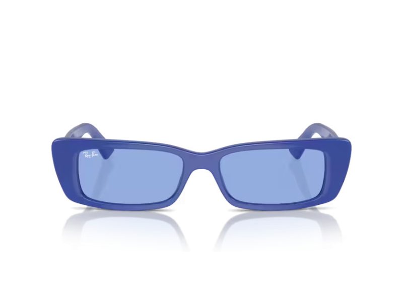 Ray-Ban Teru Zonnebril RB 4425 676180