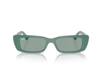 Ray-Ban Teru Zonnebril RB 4425 676282