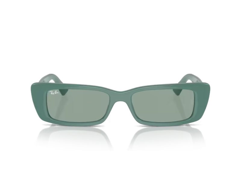 Ray-Ban Teru Zonnebril RB 4425 676282