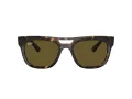 Ray-Ban Phil Zonnebril RB 0RB4426 135973