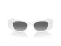 Ray-Ban Kat Zonnebril RB 4427 675911