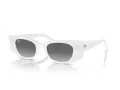 Ray-Ban Kat Zonnebril RB 4427 675911