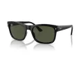 Ray-Ban Zonnebril RB 0RB4428 601/31
