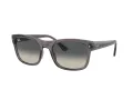 Ray-Ban Zonnebril RB 0RB4428 667571