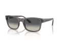 Ray-Ban Zonnebril RB 0RB4428 667571