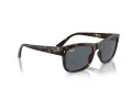 Ray-Ban Zonnebril RB 0RB4428 710/R5