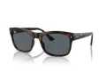Ray-Ban Zonnebril RB 0RB4428 710/R5