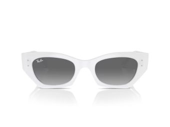 Ray-Ban Zena Zonnebril RB 4430 675911