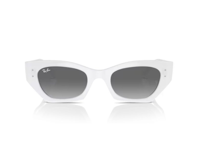 Ray-Ban Zena Zonnebril RB 4430 675911