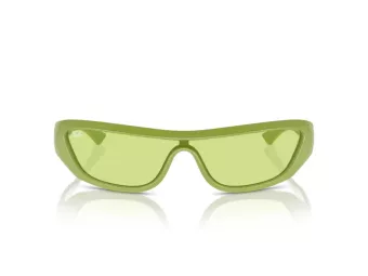 Ray-Ban Xan Zonnebril RB 4431 6763/2