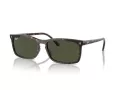 Ray-Ban Zonnebril RB 4435 902/31