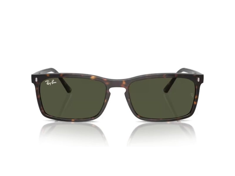 Ray-Ban Zonnebril RB 4435 902/31