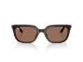 Ray-Ban Zonnebril RB 4439D 623173