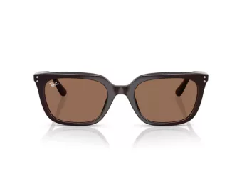 Ray-Ban Zonnebril RB 4439D 623173
