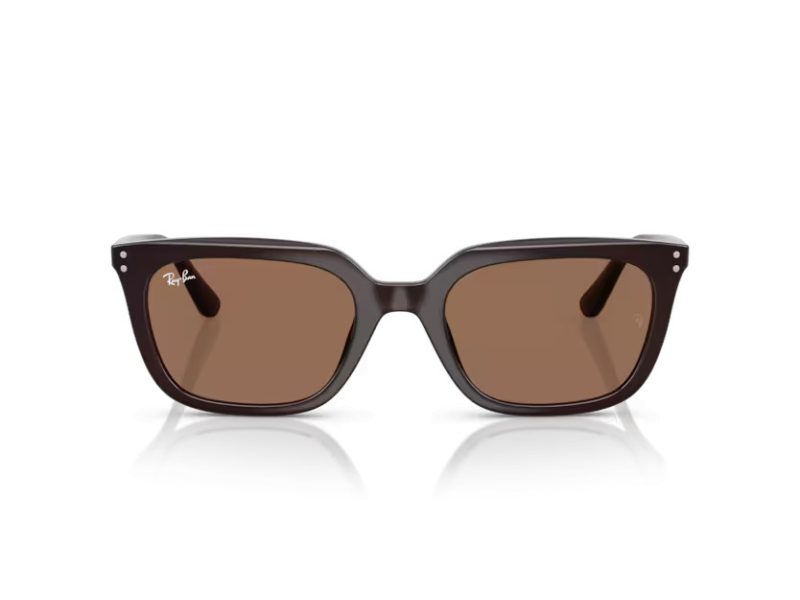 Ray-Ban Zonnebril RB 4439D 623173