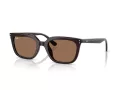 Ray-Ban Zonnebril RB 4439D 623173