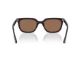 Ray-Ban Zonnebril RB 4439D 623173