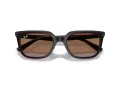 Ray-Ban Zonnebril RB 4439D 623173