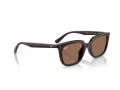 Ray-Ban Zonnebril RB 4439D 623173