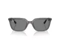 Ray-Ban Zonnebril RB 4439D 667587
