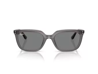 Ray-Ban Zonnebril RB 4439D 667587