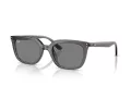 Ray-Ban Zonnebril RB 4439D 667587