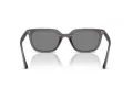 Ray-Ban Zonnebril RB 4439D 667587