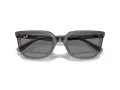 Ray-Ban Zonnebril RB 4439D 667587