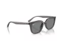 Ray-Ban Zonnebril RB 4439D 667587
