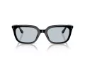 Ray-Ban Zonnebril RB 4439D 901/72