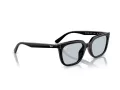 Ray-Ban Zonnebril RB 4439D 901/72