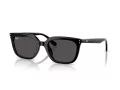 Ray-Ban Zonnebril RB 4439D 901/87