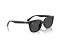 Ray-Ban Zonnebril RB 4439D 901/87