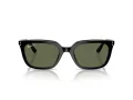 Ray-Ban Zonnebril RB 4439D 901/9A