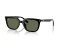 Ray-Ban Zonnebril RB 4439D 901/9A