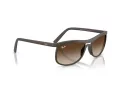 Ray-Ban Zonnebril RB 4452 612413