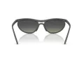 Ray-Ban Zonnebril RB 4453 601711